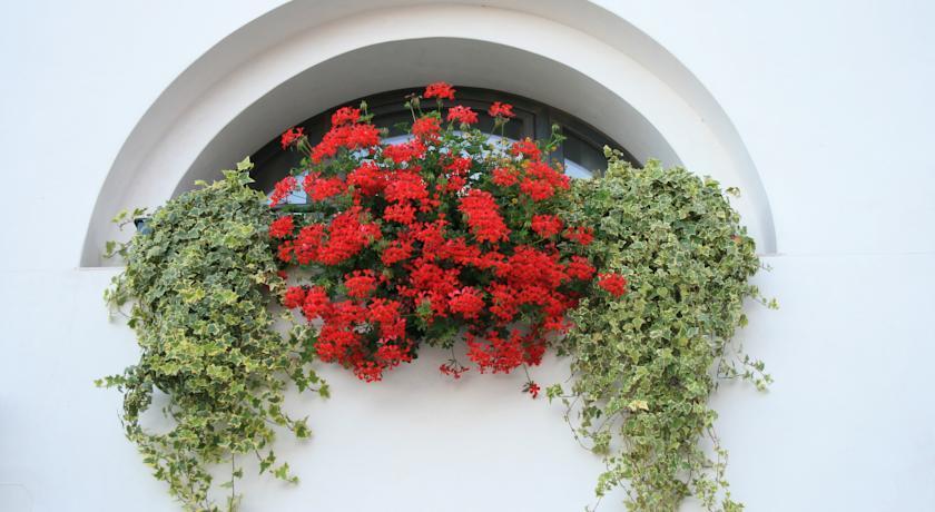 Al Bagolaro Bed & Breakfast Crocetta del Montello Bagian luar foto