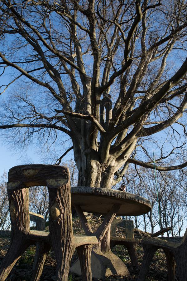 Al Bagolaro Bed & Breakfast Crocetta del Montello Bagian luar foto