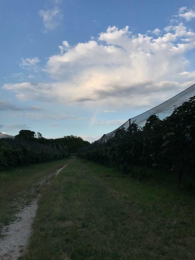 Al Bagolaro Bed & Breakfast Crocetta del Montello Bagian luar foto